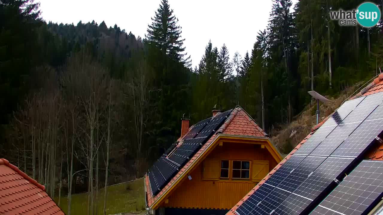 Webcam Lukanja – Water Village | Pohorje Houses