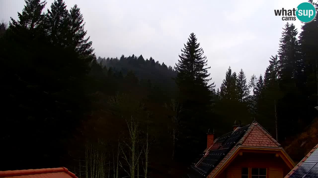 Webcam Lukanja – Pohorje houses a Water village