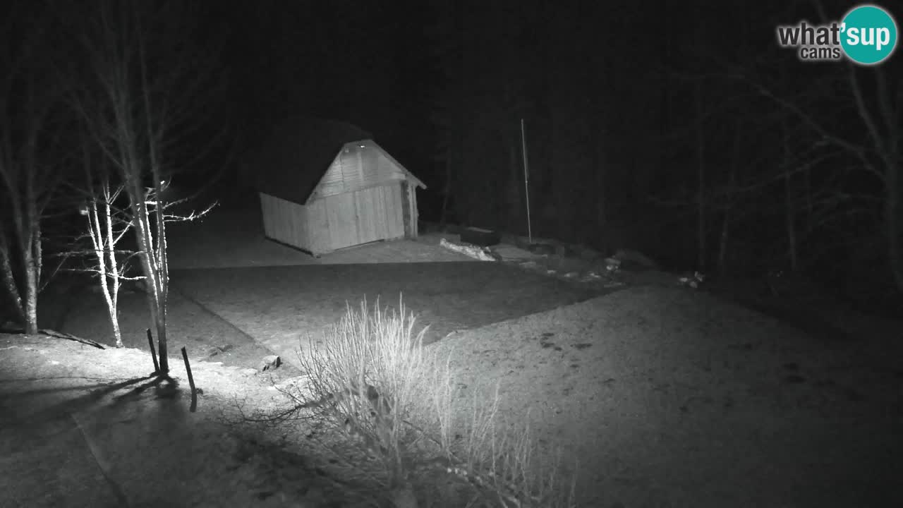 Webcam Lukanja – Water Village | Pohorje Houses