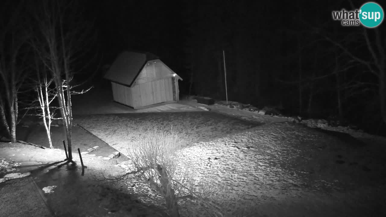 Webcam Lukanja – Pohorje houses a Water village