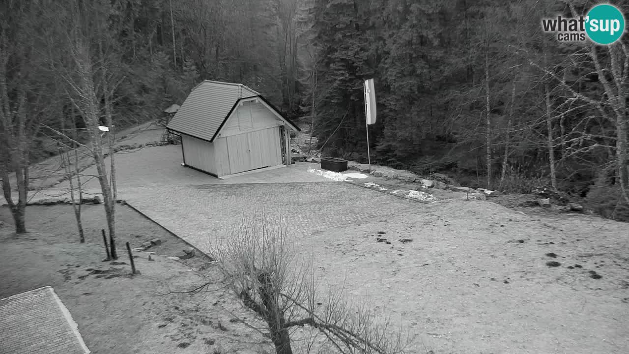 Webcam Lukanja – Pohorje houses a Water village