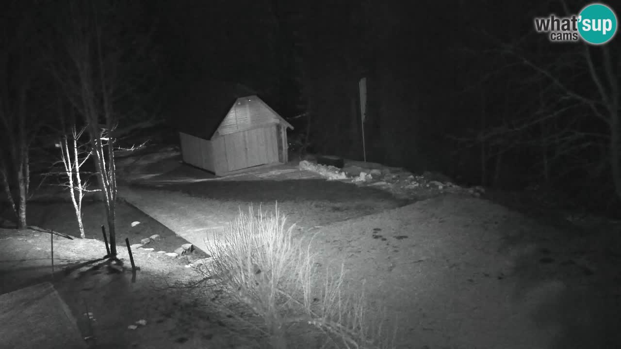 Spletna kamera Lukanja – Water Village | Pohorje Houses