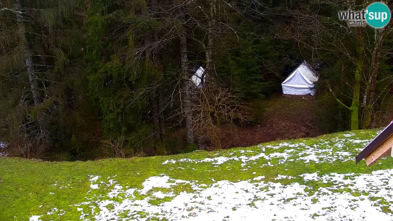 Webcam Lukanja – Pohorje houses a Water village