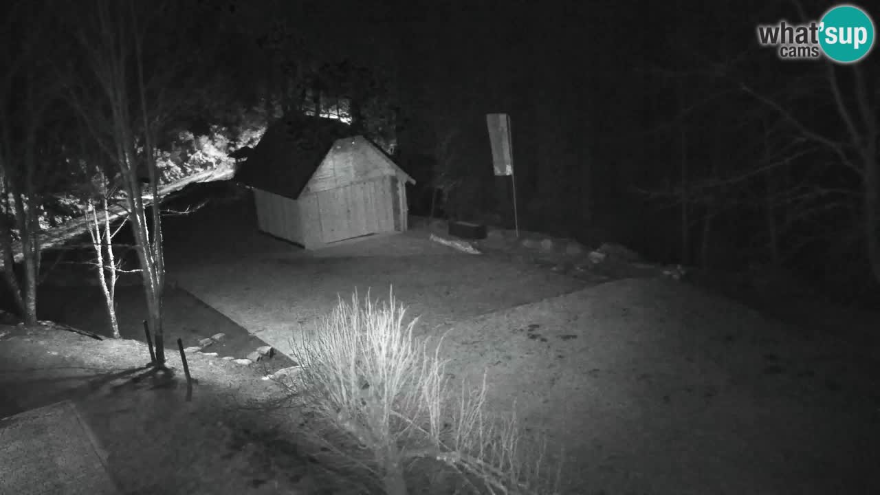 Webcam Lukanja – Pohorje houses a Water village