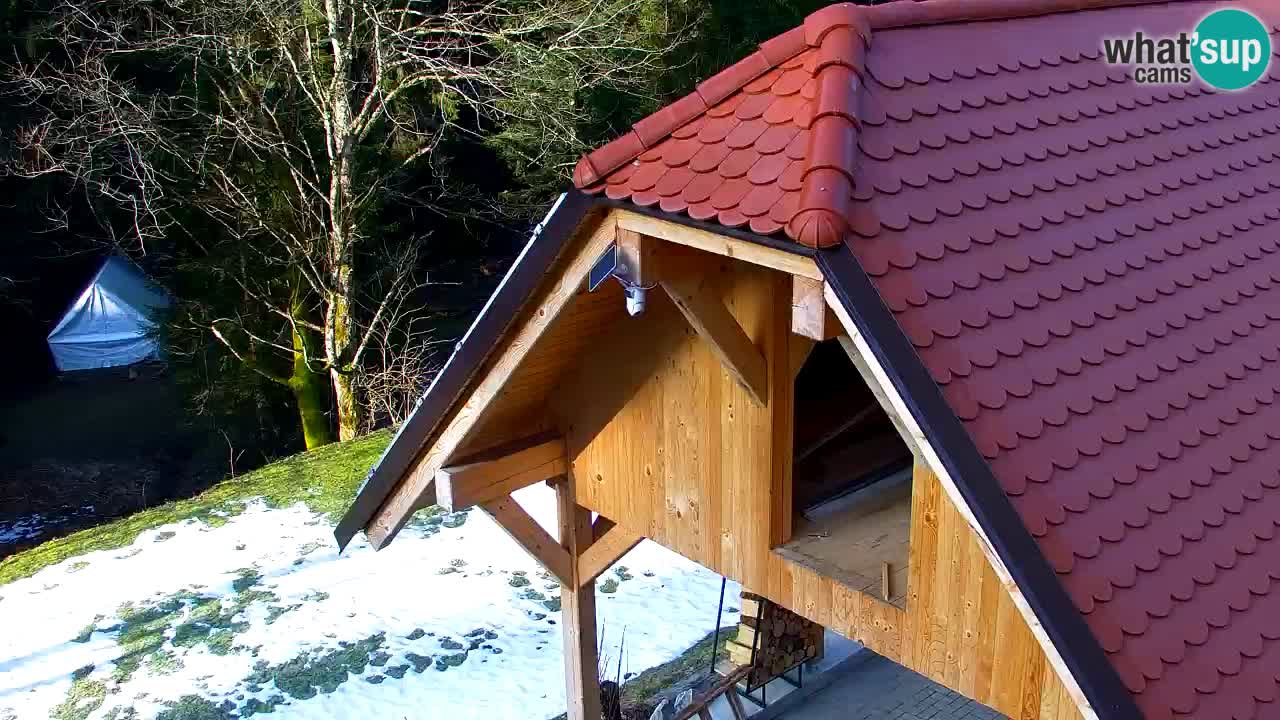 Web kamera Lukanja – Water Village | Pohorje Houses