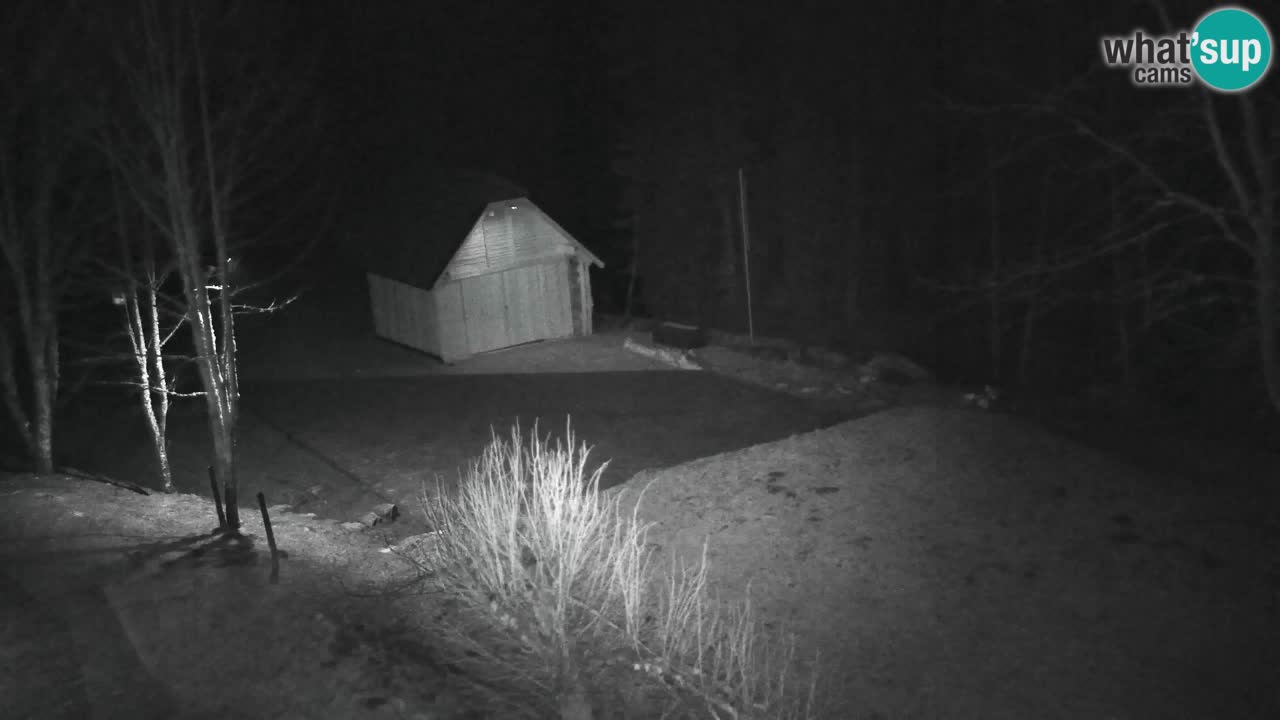 Webcam Lukanja – Pohorje houses a Water village