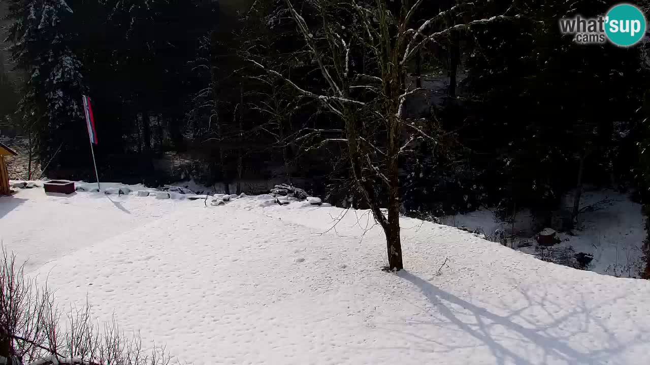 Webcam Lukanja – Water Village | Pohorje Houses