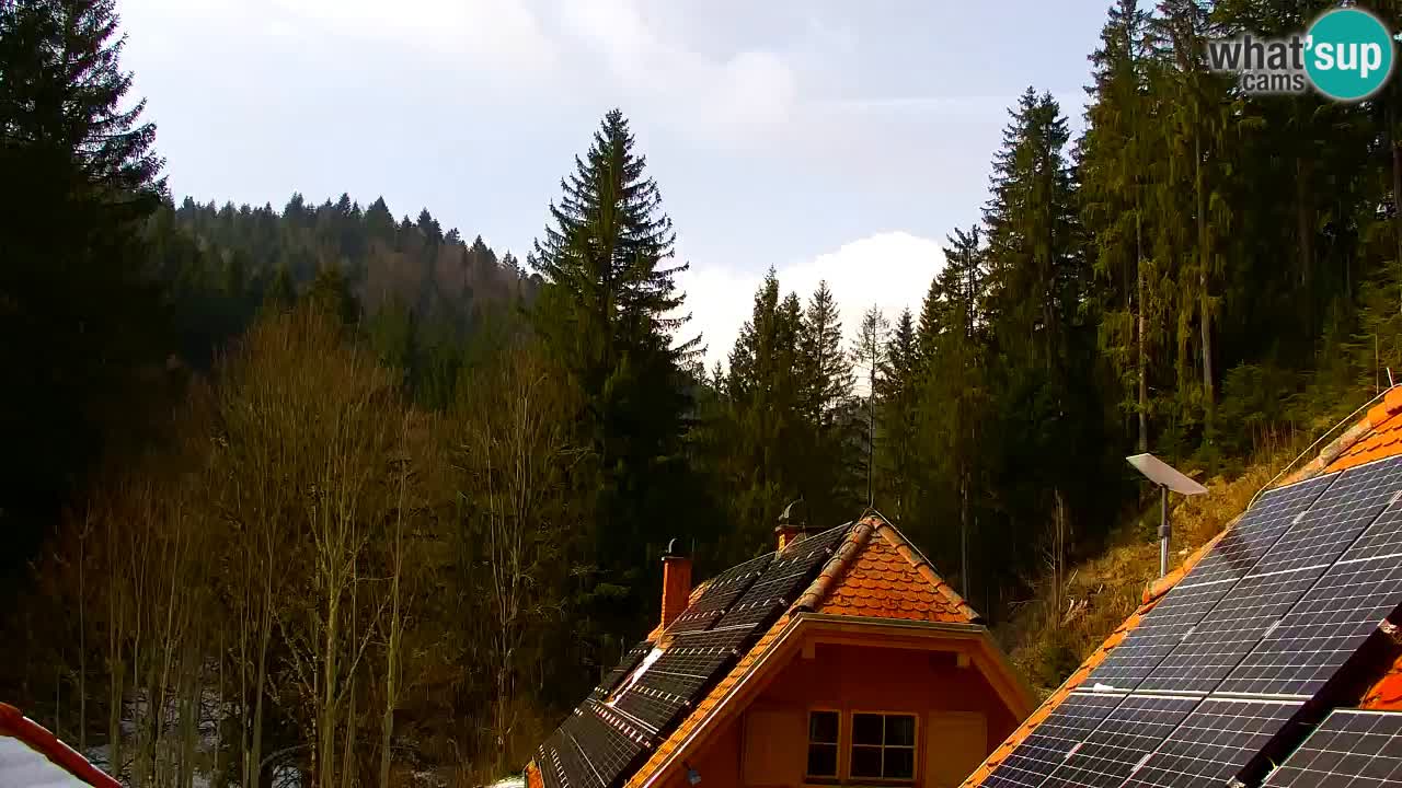 Web kamera Lukanja – Water Village | Pohorje Houses