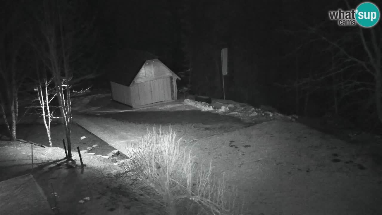 Spletna kamera Lukanja – Water Village | Pohorje Houses