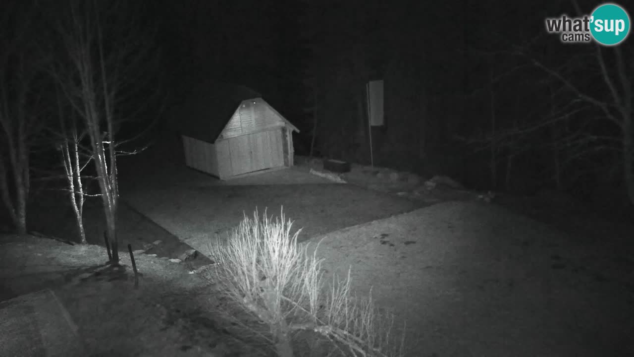 Webcam Lukanja – Pohorje houses a Water village