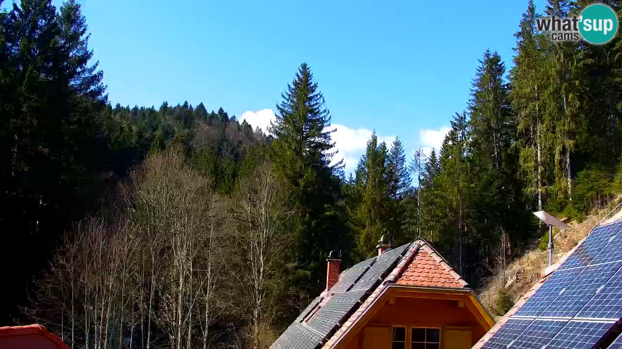 Webcam Lukanja – Water Village | Pohorje Houses