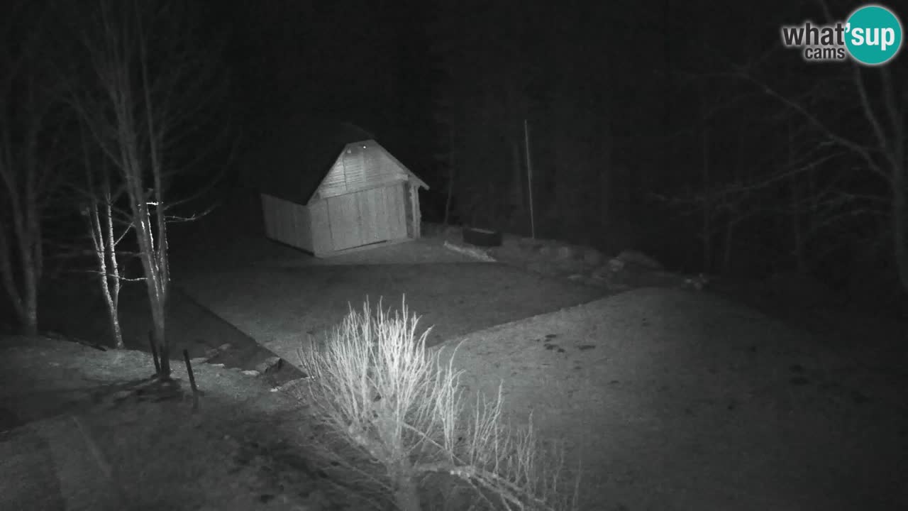 Webcam Lukanja – Pohorje houses a Water village