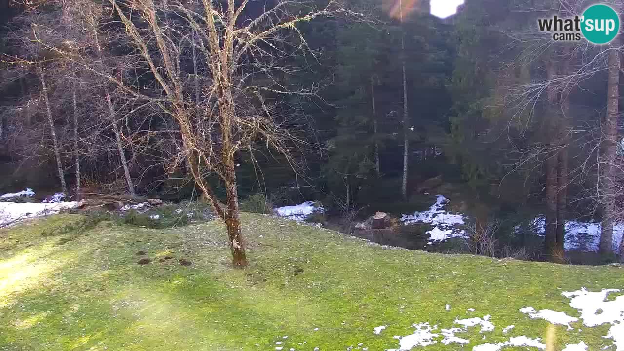 Spletna kamera Lukanja – Water Village | Pohorje Houses