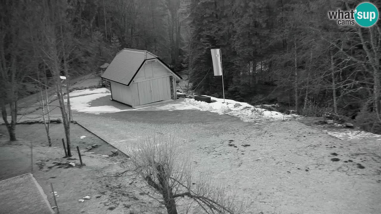 Webcam Lukanja – Water Village | Pohorje Houses