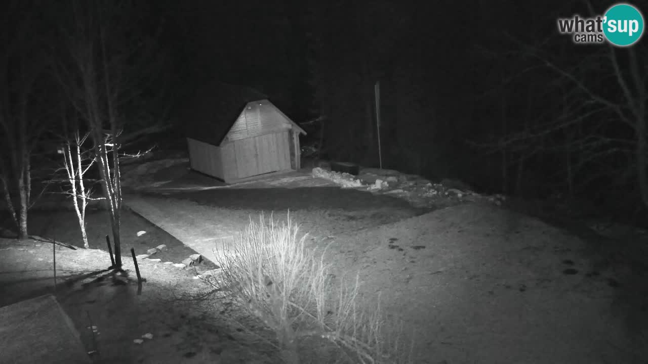 Webcam Lukanja – Pohorje houses a Water village