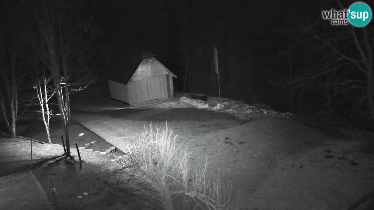 Webcam Lukanja – Water Village | Pohorje Houses