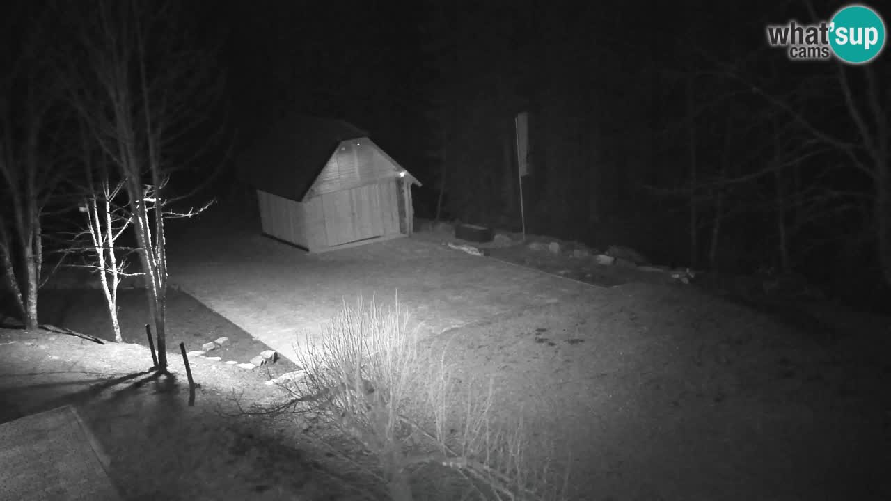 Webcam Lukanja – Pohorje houses a Water village