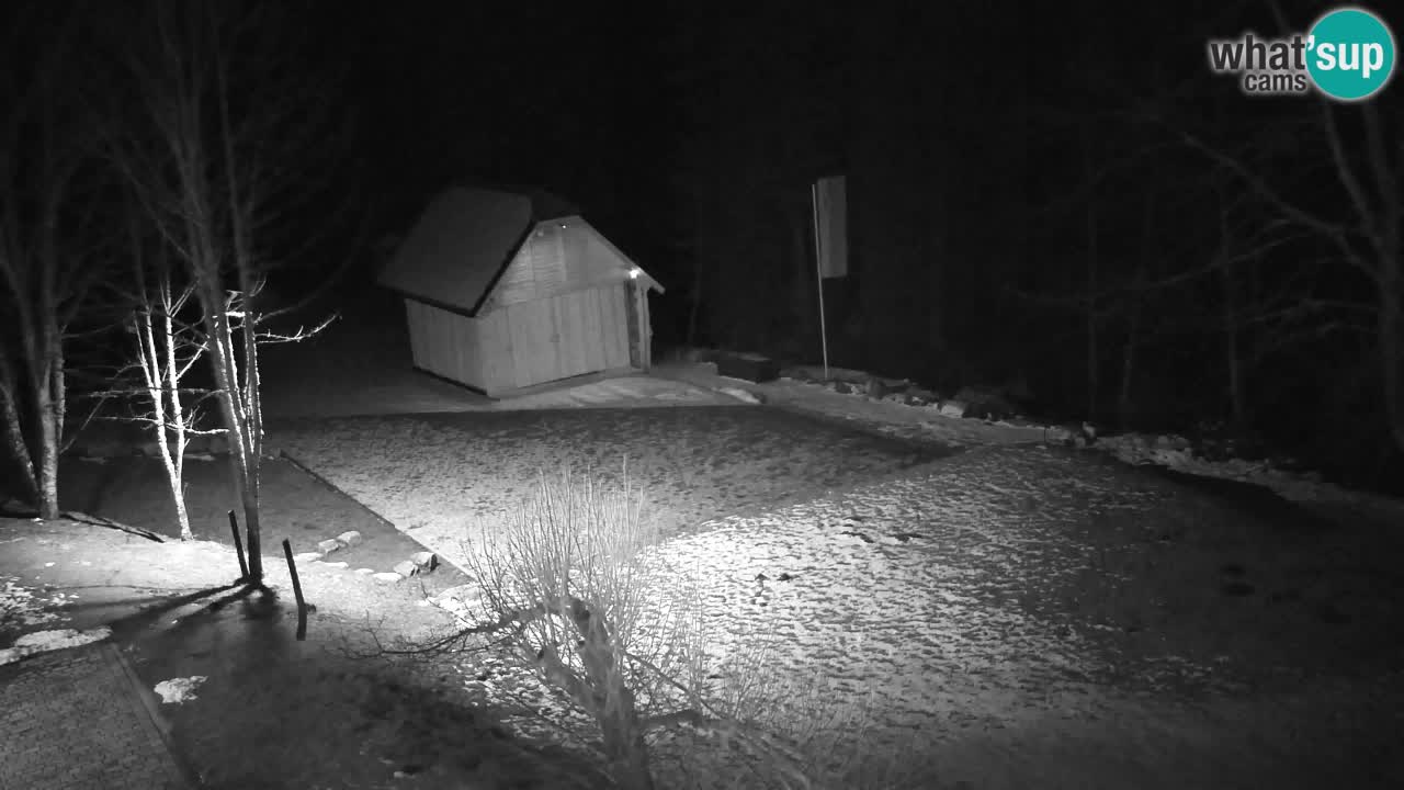 Webcam Lukanja – Pohorje houses a Water village