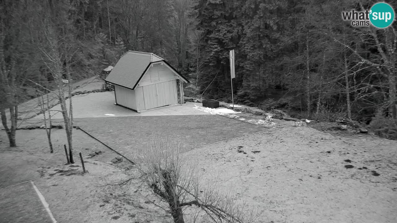 Webcam Lukanja – Water Village | Pohorje Houses