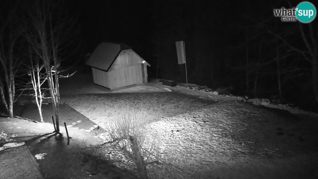 Spletna kamera Lukanja – Water Village | Pohorje Houses