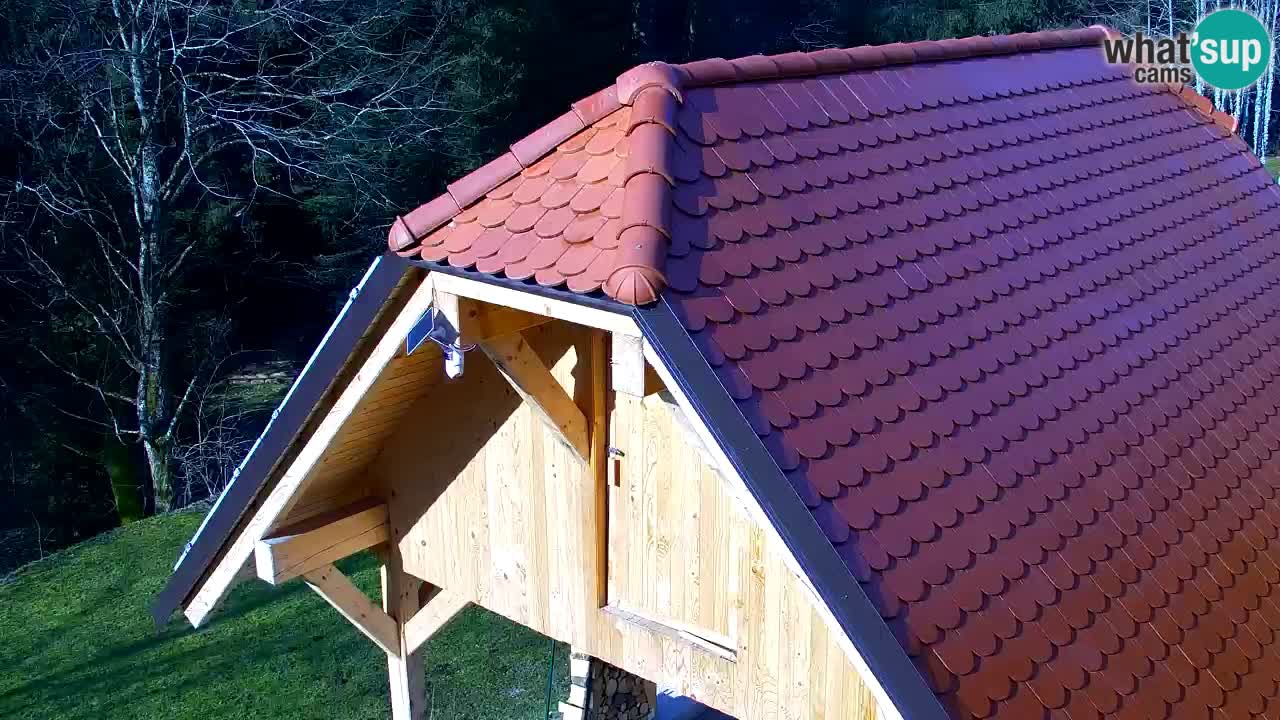 Spletna kamera Lukanja – Water Village | Pohorje Houses