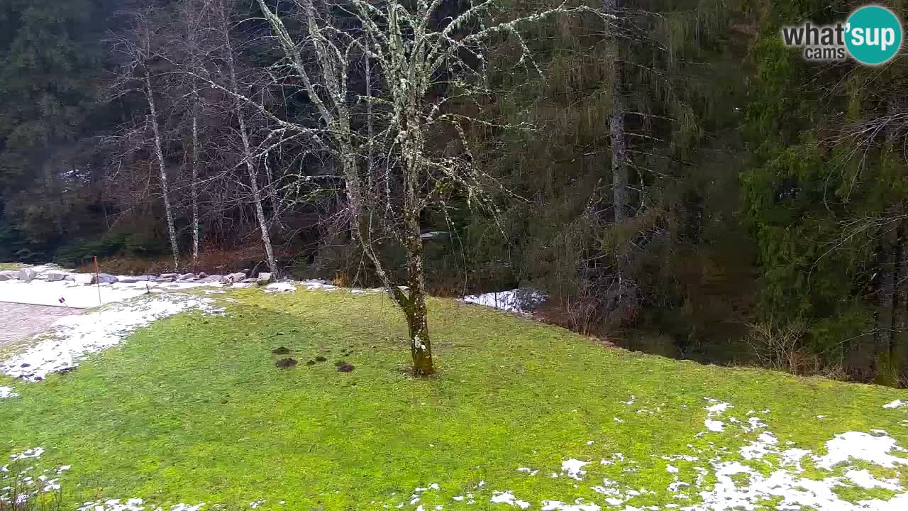 Spletna kamera Lukanja – Water Village | Pohorje Houses