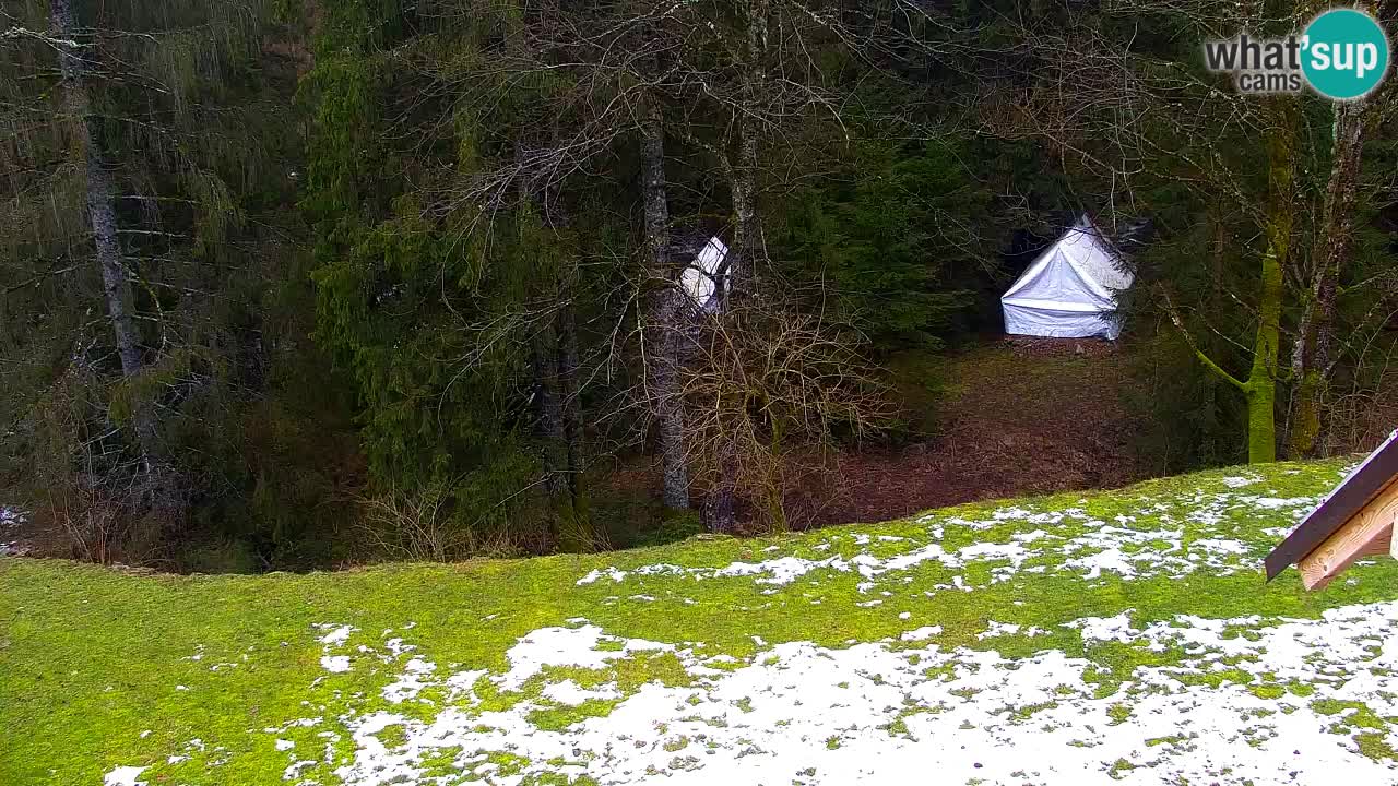 Webcam Lukanja – Pohorje houses a Water village