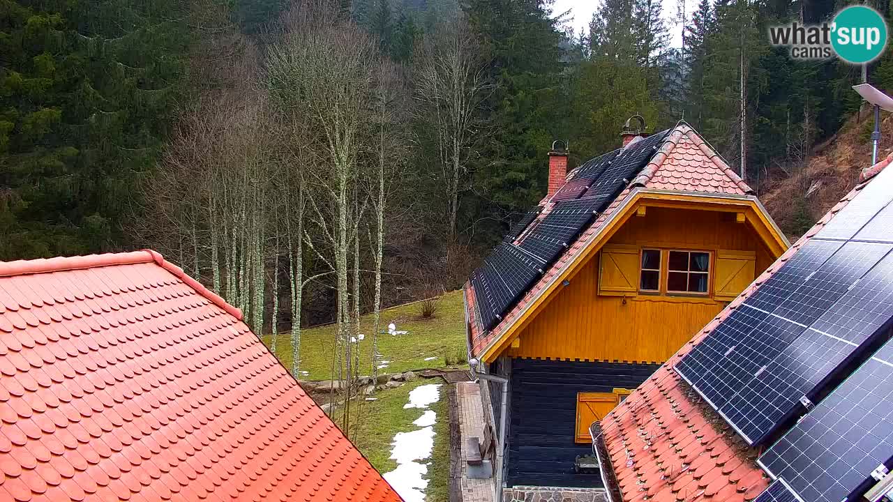 Spletna kamera Lukanja – Water Village | Pohorje Houses