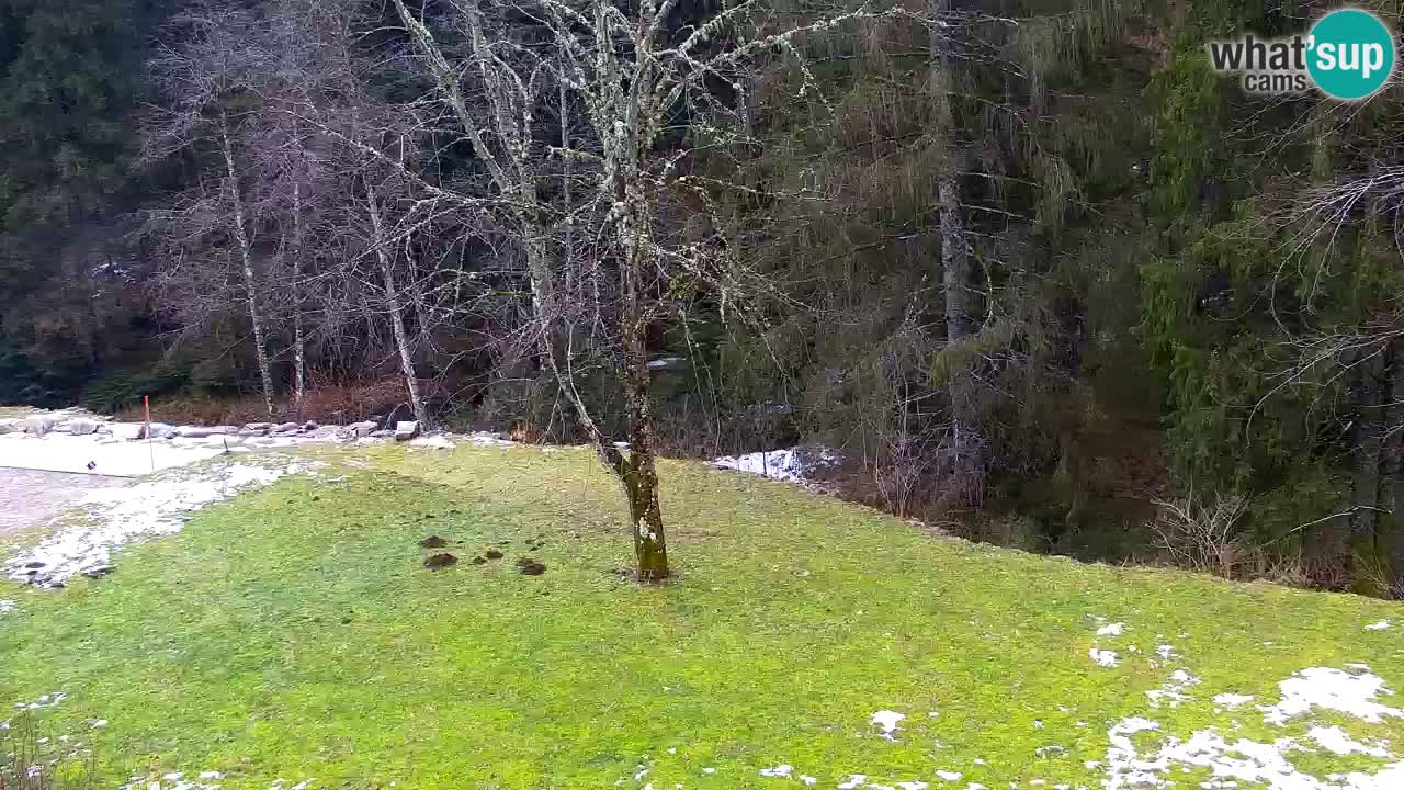 Webcam Lukanja – Water Village | Pohorje Houses