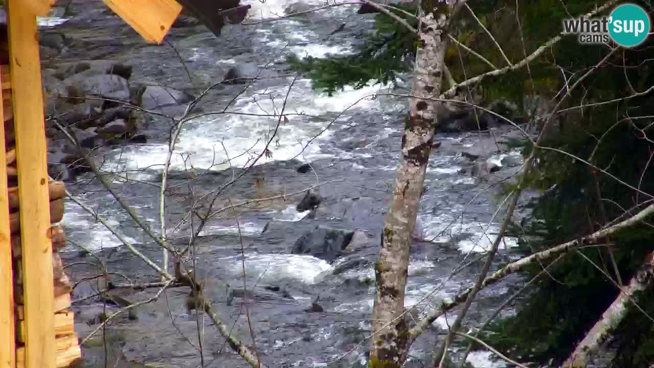 Webcam Lukanja – Pohorje houses a Water village