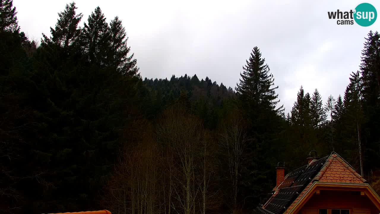 Webcam Lukanja – Water Village | Pohorje Houses