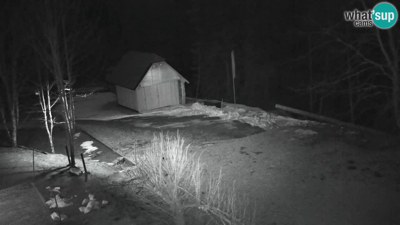 Web kamera Lukanja – Water Village | Pohorje Houses