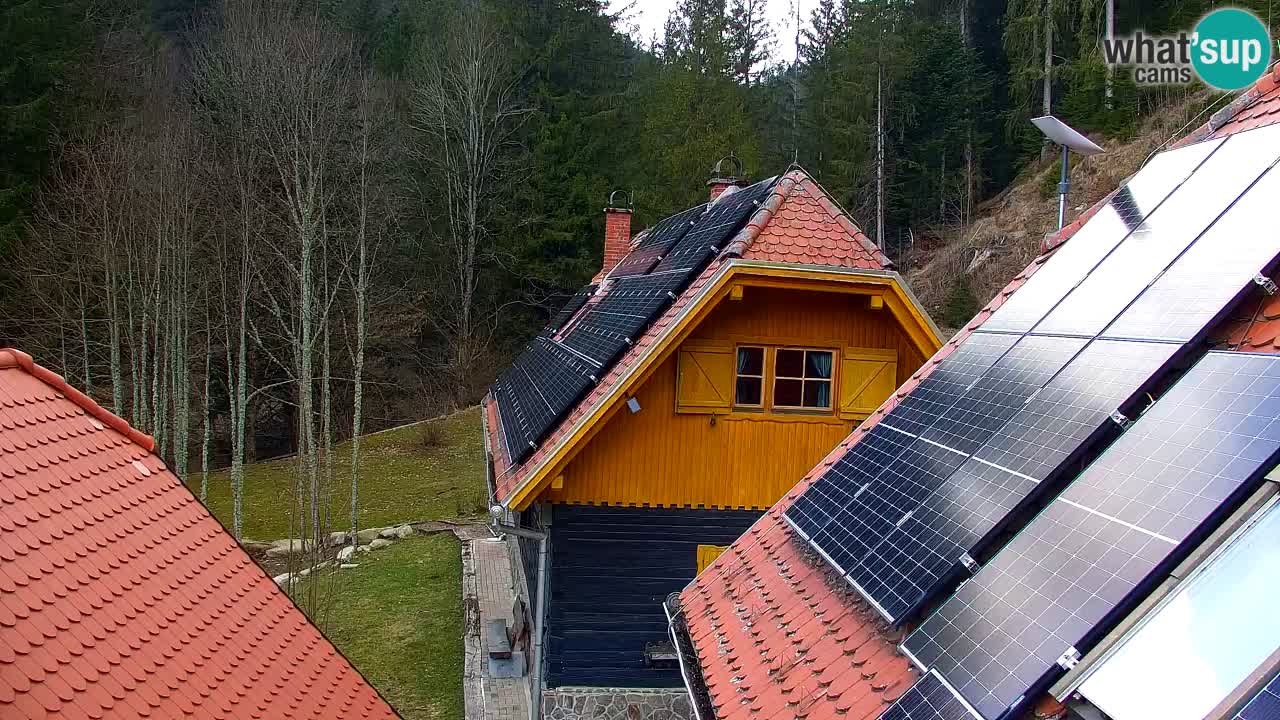 Webcam Lukanja – Water Village | Pohorje Houses