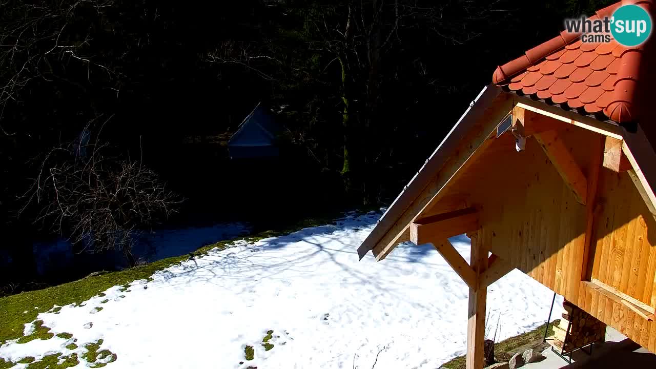 Webcam Lukanja – Water Village | Pohorje Houses