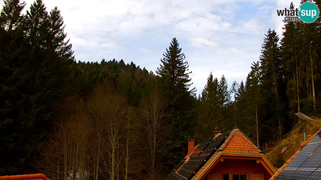 Web kamera Lukanja – Water Village | Pohorje Houses