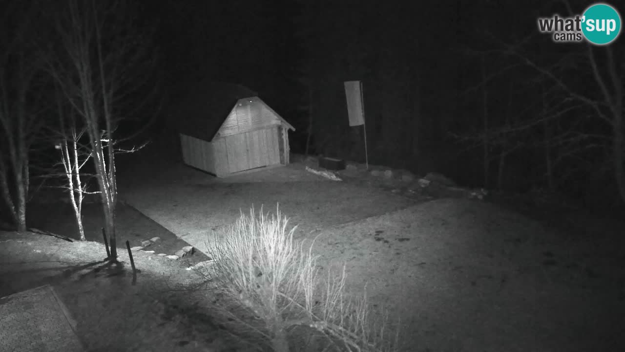 Webcam Lukanja – Pohorje houses a Water village