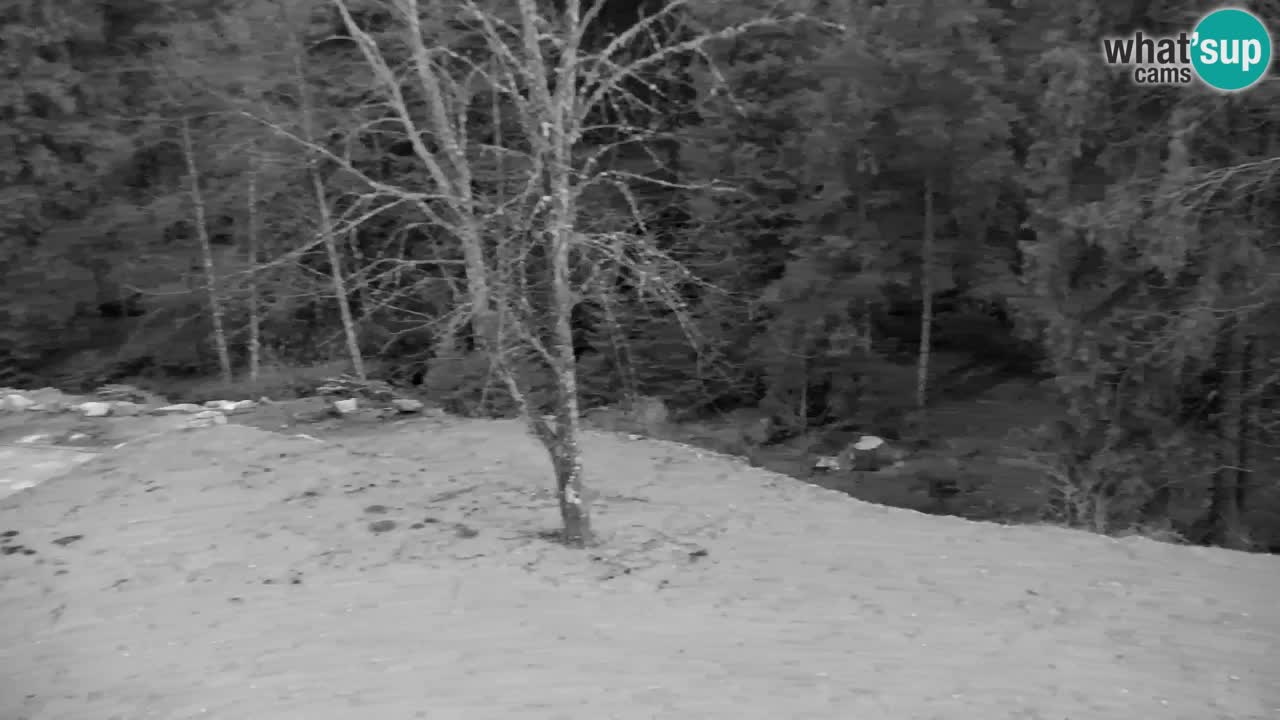 Webcam Lukanja – Pohorje houses a Water village