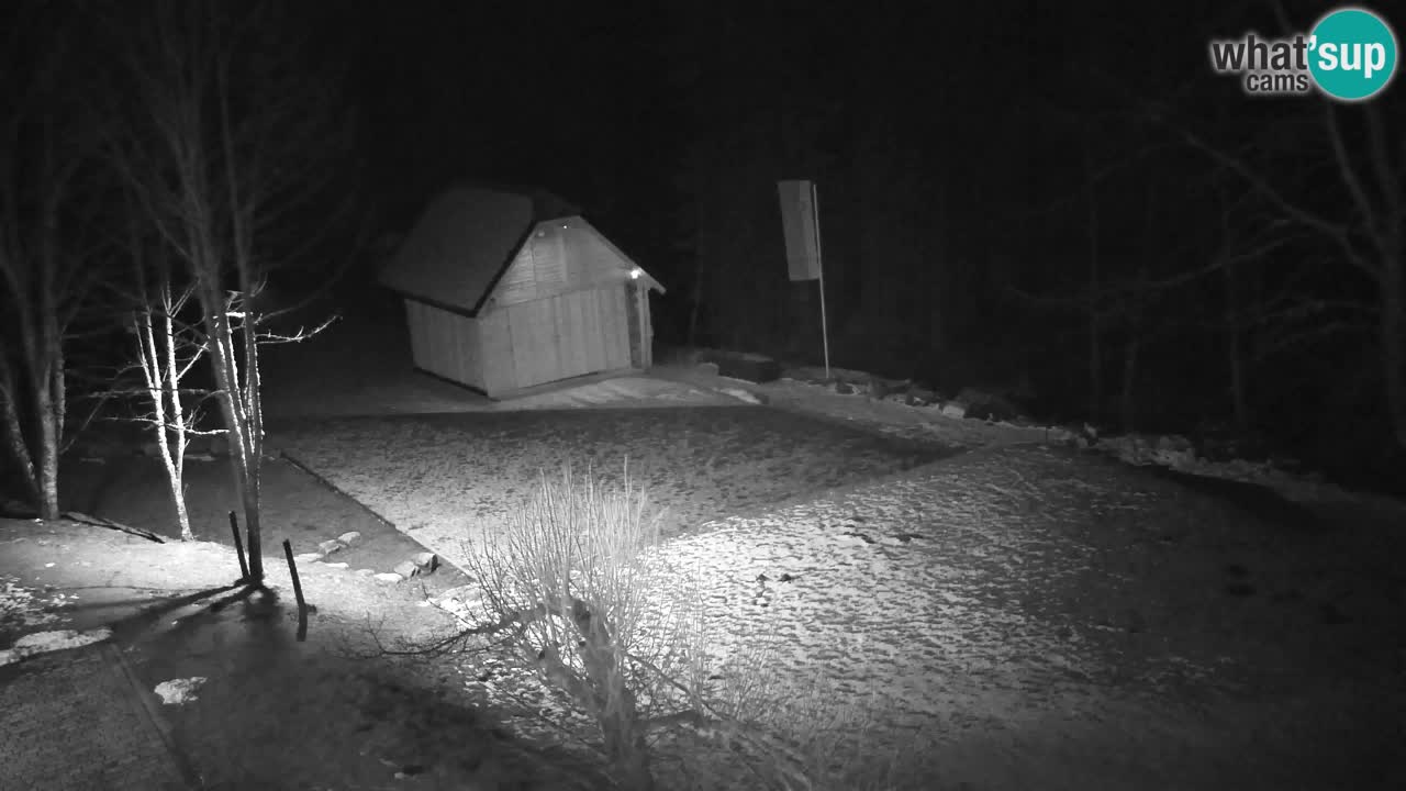 Webcam Lukanja – Pohorje houses a Water village