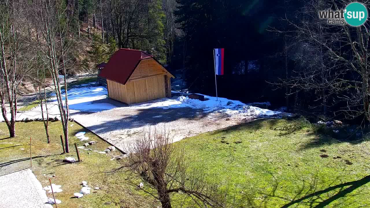 Webcam Lukanja – Pohorje houses a Water village