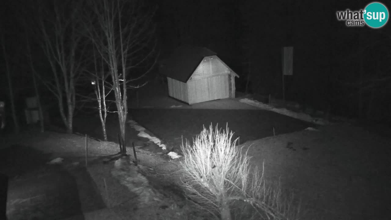 Webcam Lukanja – Pohorje houses a Water village