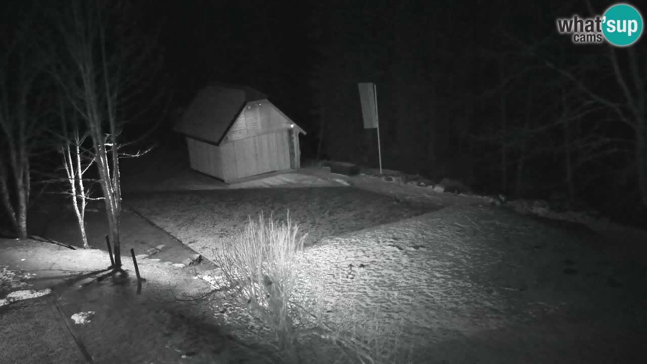 Webcam Lukanja – Water Village | Pohorje Houses