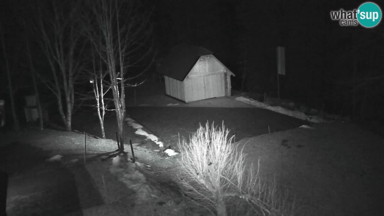 Webcam Lukanja – Pohorje houses a Water village