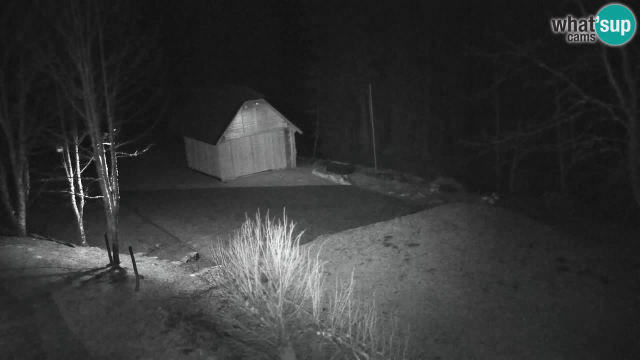 Spletna kamera Lukanja – Water Village | Pohorje Houses