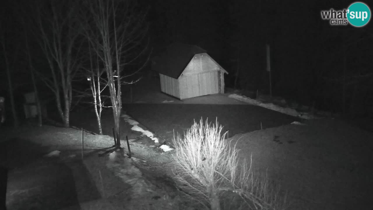 Webcam Lukanja – Water Village | Pohorje Houses