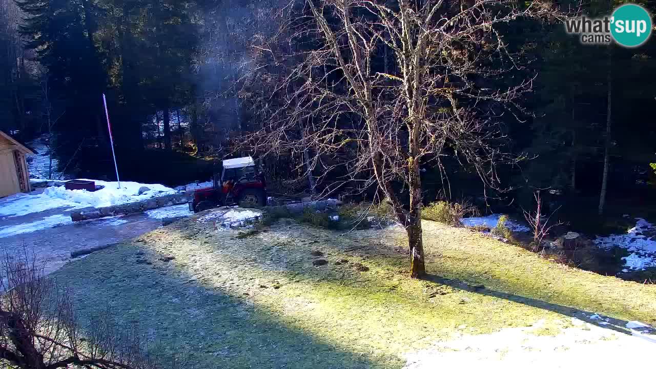 Webcam Lukanja – Pohorje houses a Water village