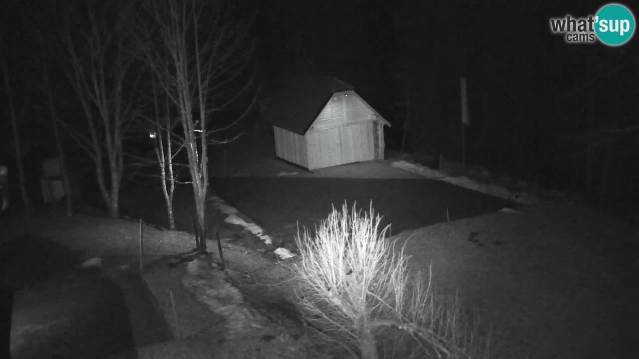 Webcam Lukanja – Water Village | Pohorje Houses