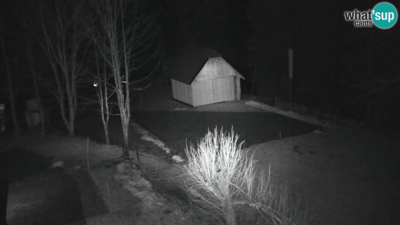 Web kamera Lukanja – Water Village | Pohorje Houses