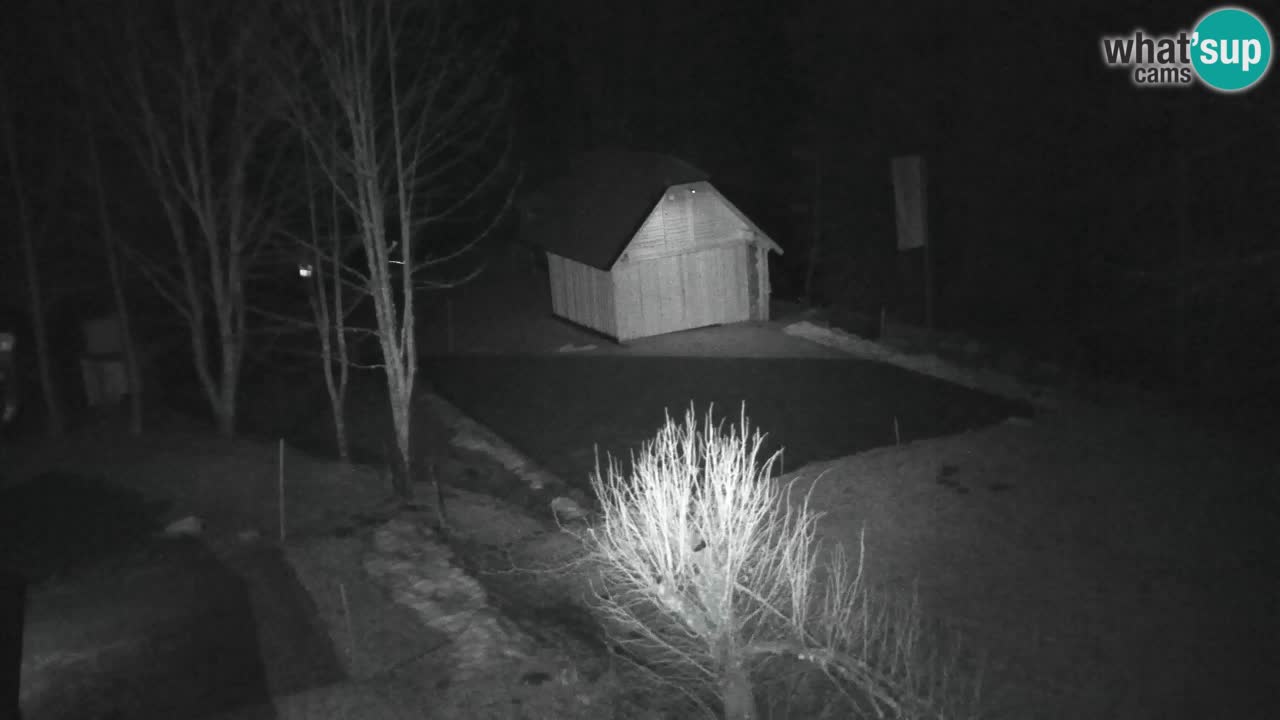 Webcam Lukanja – Water Village | Pohorje Houses