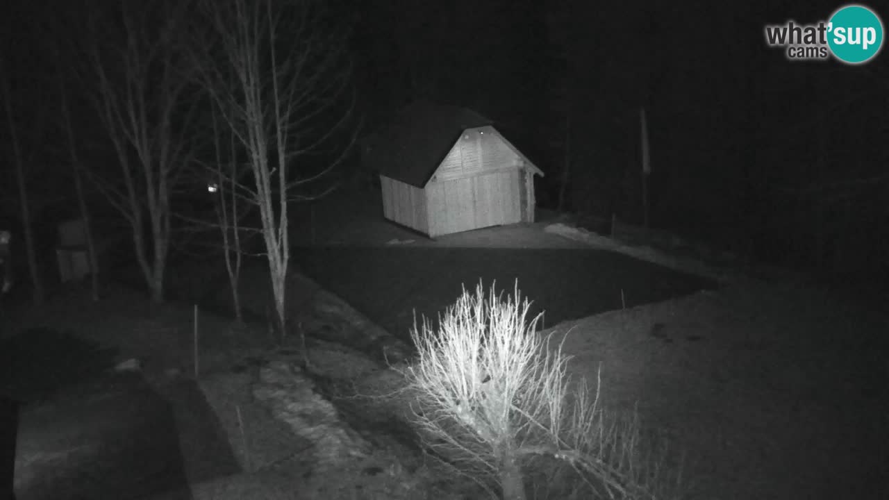 Webcam Lukanja – Water Village | Pohorje Houses