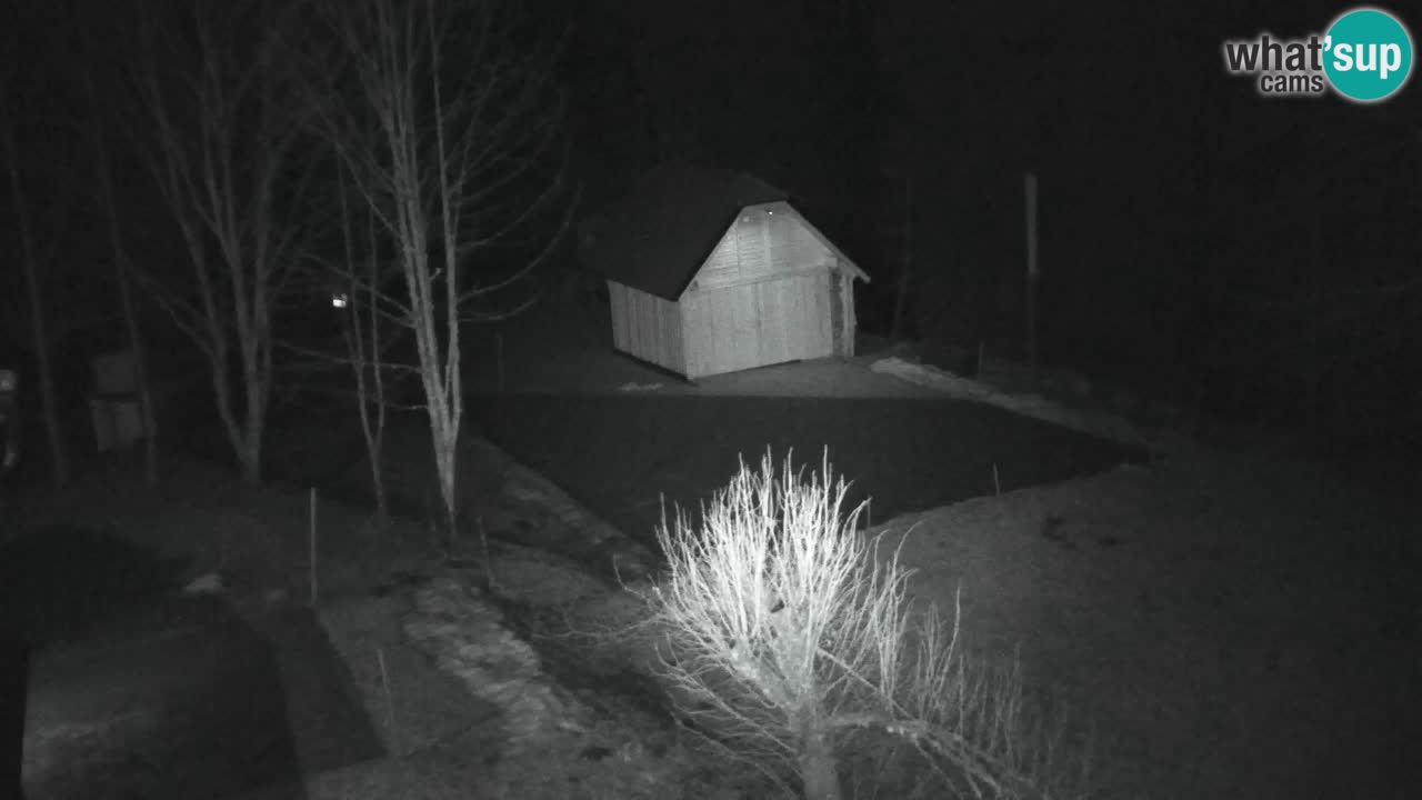 Webcam Lukanja – Water Village | Pohorje Houses